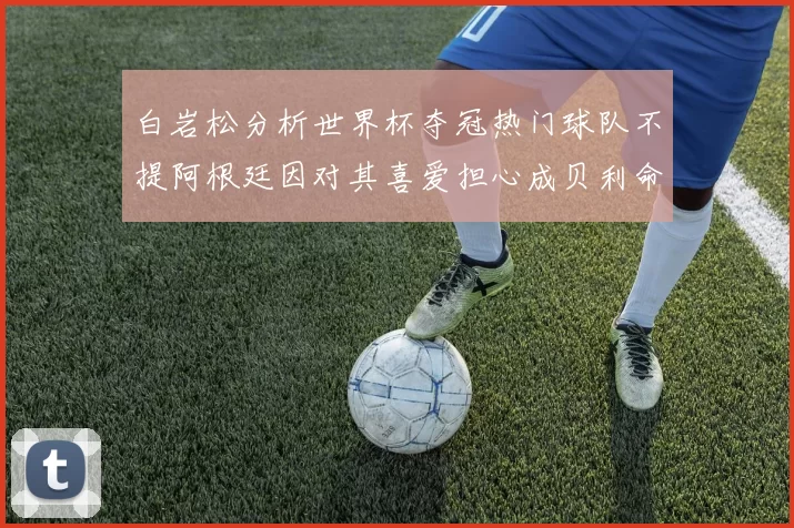 白岩松分析世界杯夺冠热门球队不提阿根廷因对其喜爱担心成贝利命运